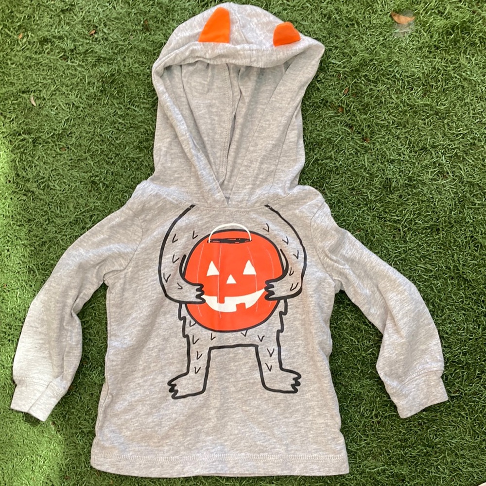 Carters ligh hoodie